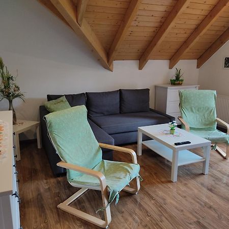 Gemuetliche Ferienwohnung Im Schoenen Erzgebirge - Wohnung Fruehling Eibenstock Ngoại thất bức ảnh